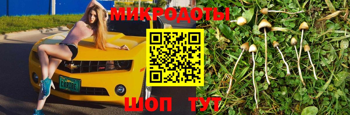 Псилоцибиновые грибы прущие грибы Карасук