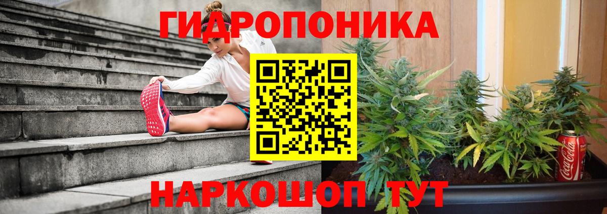 Бошки марихуана сатива  Вход с VPN  Конопля White Widow  Карасук  Шишки марихуана планчик 